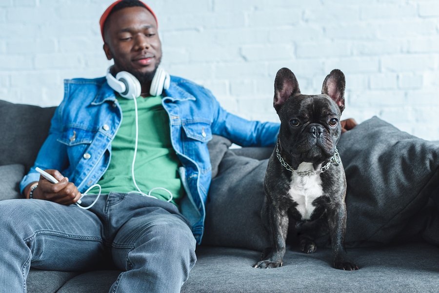 Young man in headphones holding smartphone and sitting by French bulldog